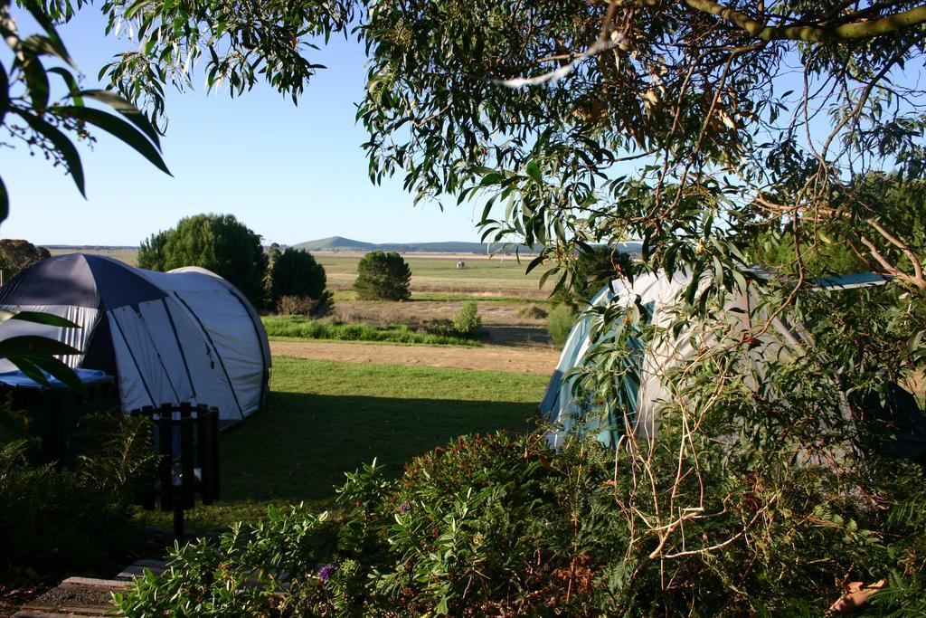 Millicent Hillview Caravan Park Buitenkant foto