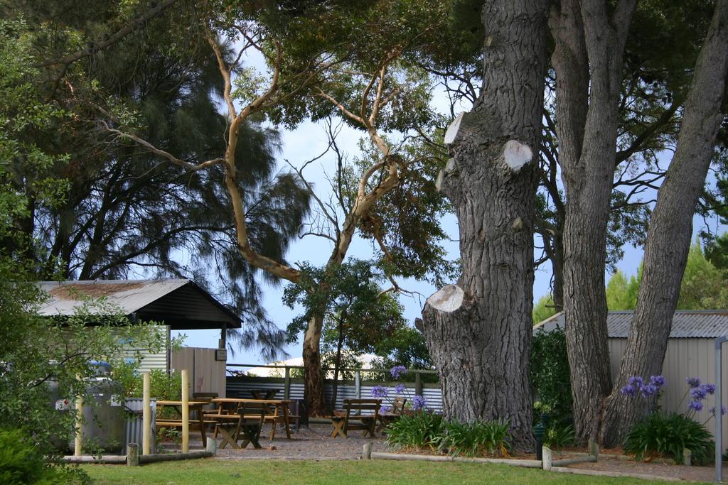 Millicent Hillview Caravan Park Buitenkant foto